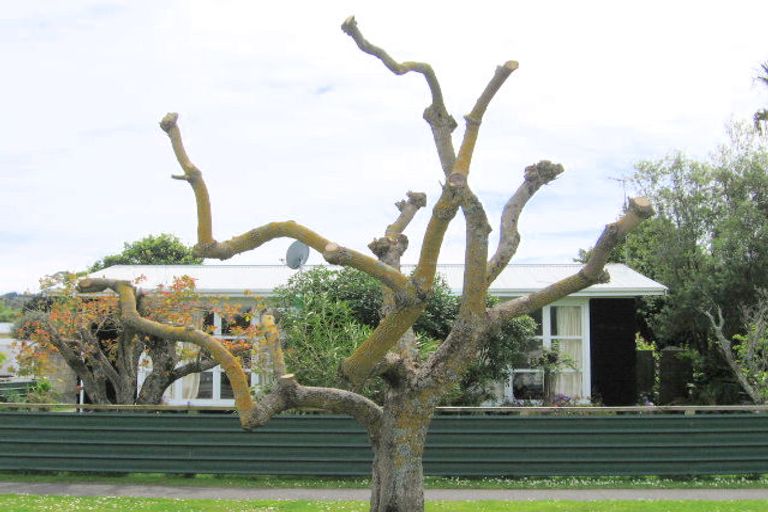 Photo of property in 41 Oak Street, Mangapapa, Gisborne, 4010