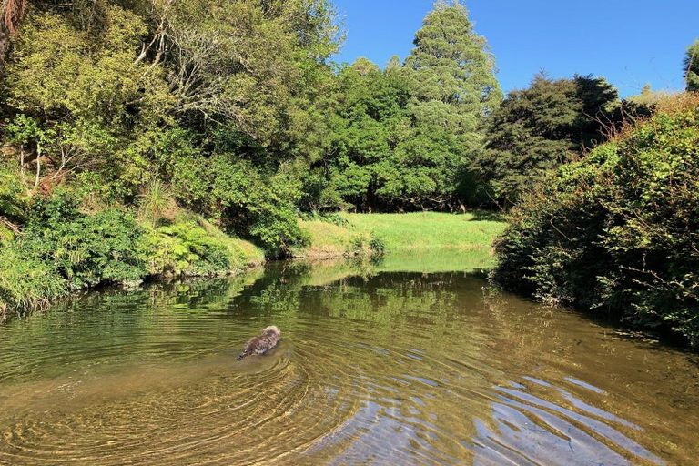 Photo of property in 73 Takahue Saddle Road, Takahue, Kaitaia, 0481