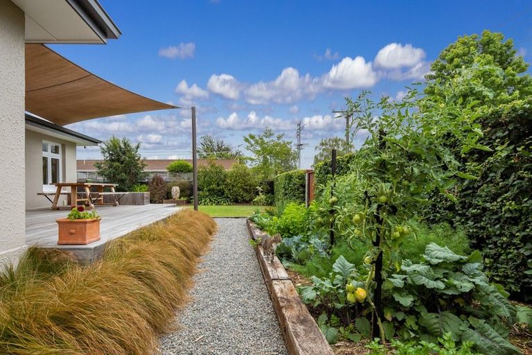 Photo of property in 36a Mclauchlan Street, Springlands, Blenheim, 7201