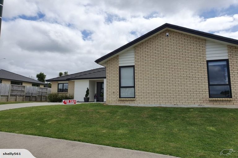 Photo of property in 14 Patatee Terrace, Baverstock, Hamilton, 3200