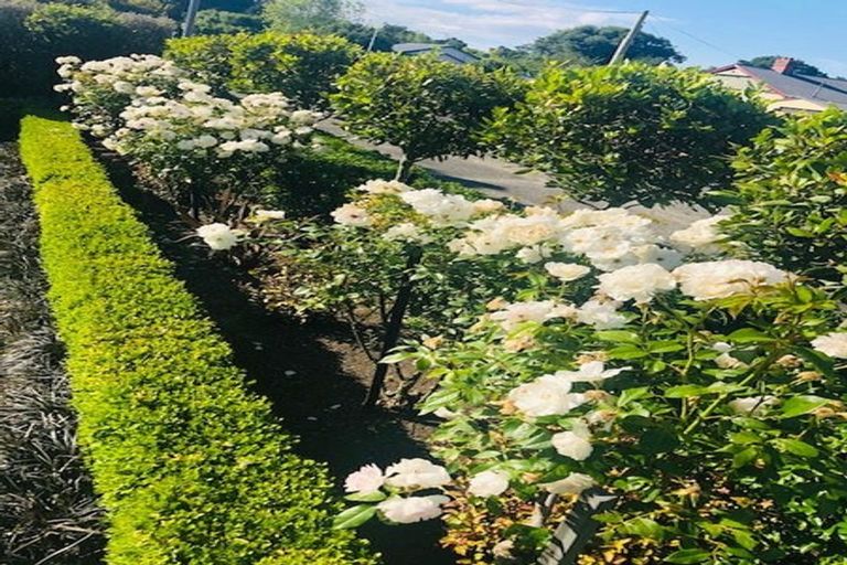 Photo of property in 78 Grey Street, Ashburton, 7700