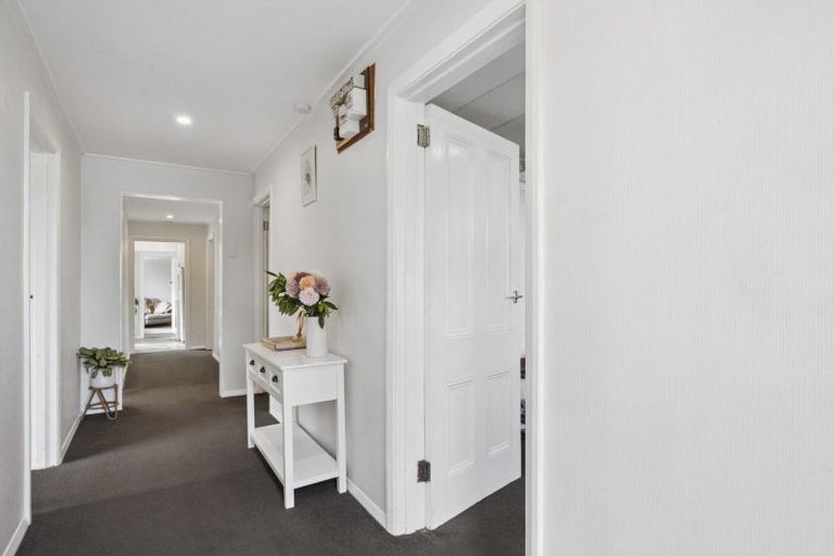 Photo of property in 16 Wairoa Street, Kaikorai, Dunedin, 9010