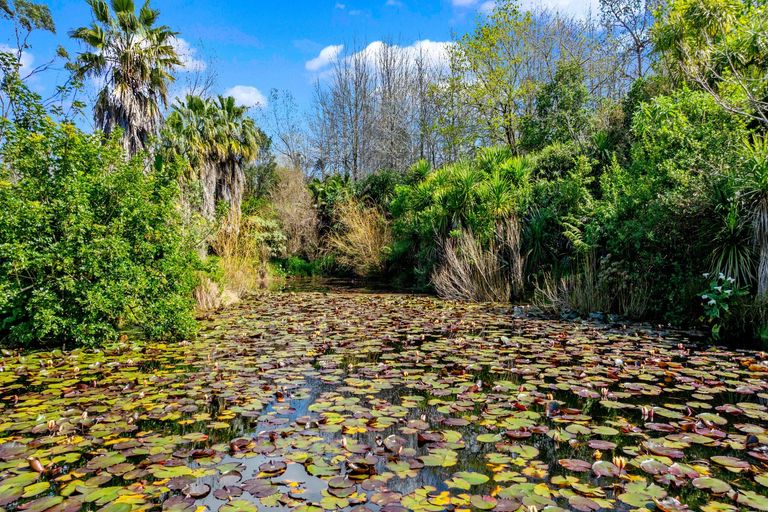 Photo of property in 364 Oneriri Road, Kaiwaka, 0573