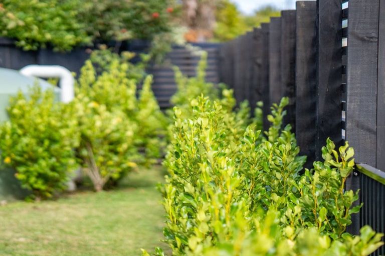 Photo of property in 5/9 Beverley Crescent, Hillcrest, Hamilton, 3216