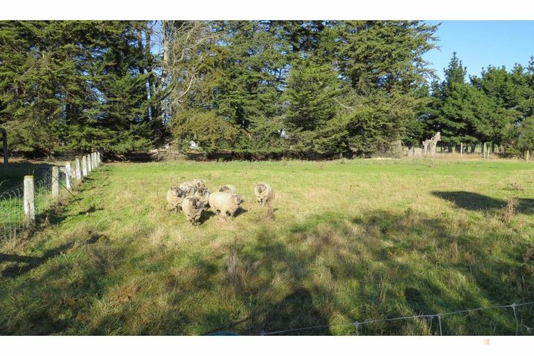 Photo of property in 98 Timaru-temuka Highway, Washdyke, Timaru, 7973