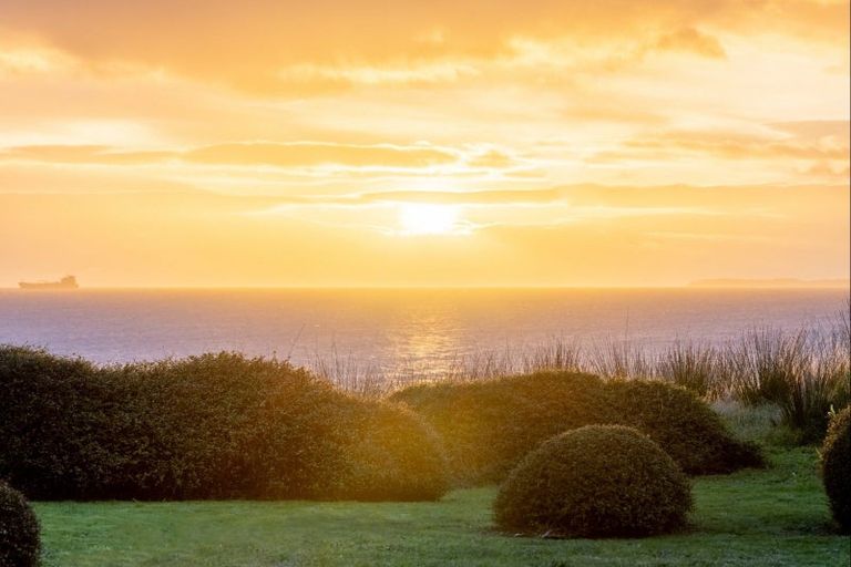 Photo of property in 339a Oceanbeach Road, Mount Maunganui, 3116