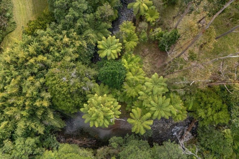 Photo of property in 383a Lockington Road, Aongatete, Katikati, 3181