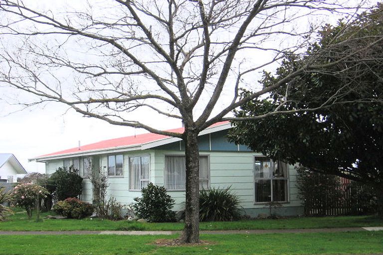 Photo of property in 14 Adkin Avenue, Levin, 5510
