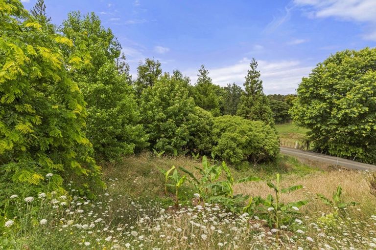 Photo of property in 95 Wrights Road, Raglan, 3295