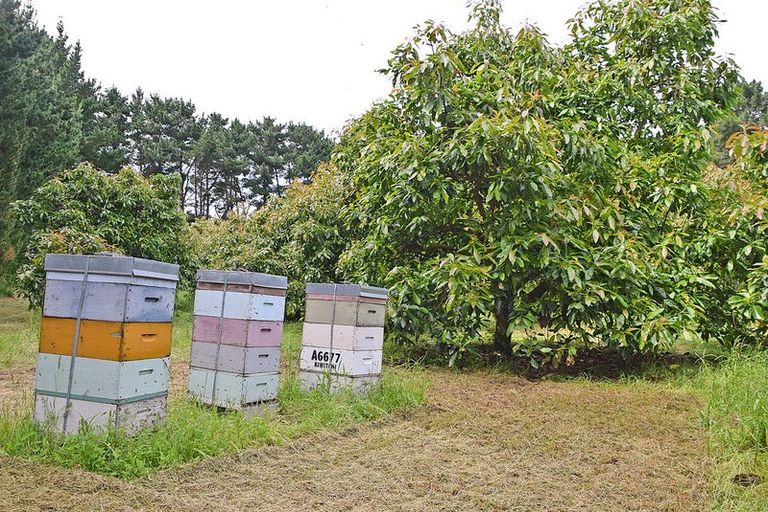 Photo of property in 1 Journeys End, Tapora, Wellsford, 0977