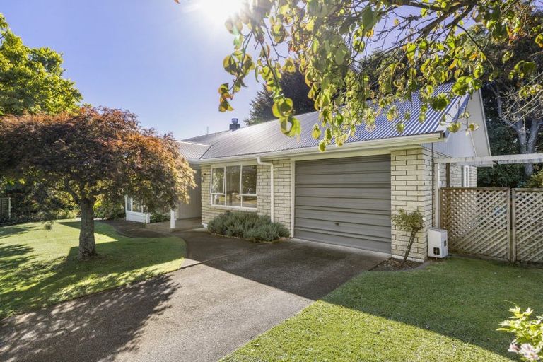 Photo of property in 12 Tynan Street, Te Puke, 3119