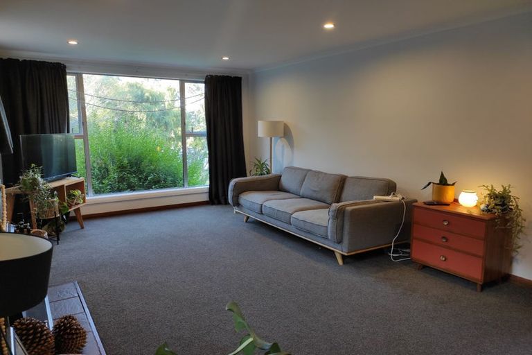 Photo of property in 155 Helensburgh Road, Wakari, Dunedin, 9010