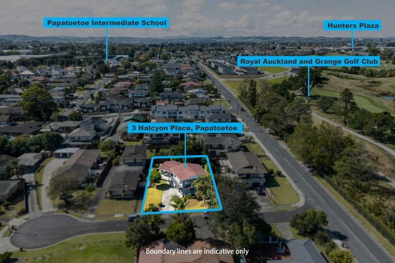 Photo of property in 3 Halcyon Place, Papatoetoe, Auckland, 2025