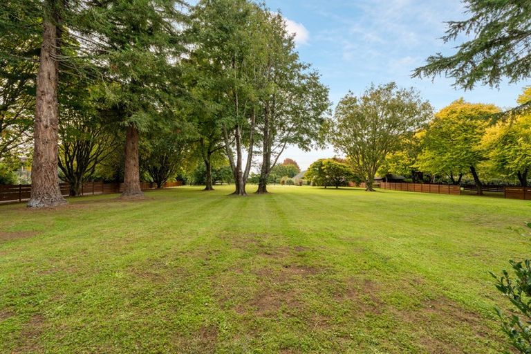 Photo of property in 59a Western Avenue, Omokoroa, 3114