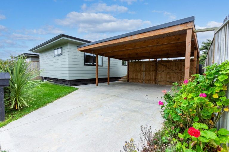 Photo of property in 17 Hall Street, Woodville, 4920