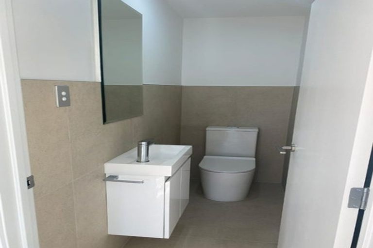 Photo of property in 48a Lyttelton Avenue, Forrest Hill, Auckland, 0620