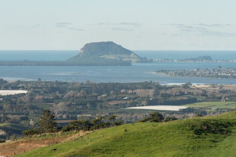 Photo of property in 657 Minden Road, Minden, Tauranga, 3176