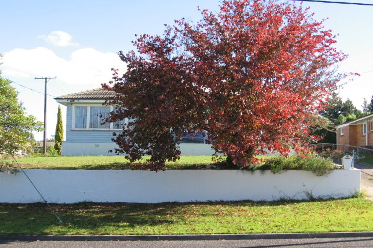 Photo of property in 48 Reservoir Street, Putaruru, 3411