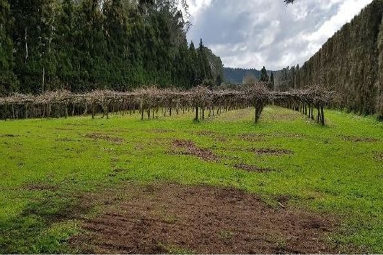 Photo of property in 328 Riverhead Road, Riverhead, 0892