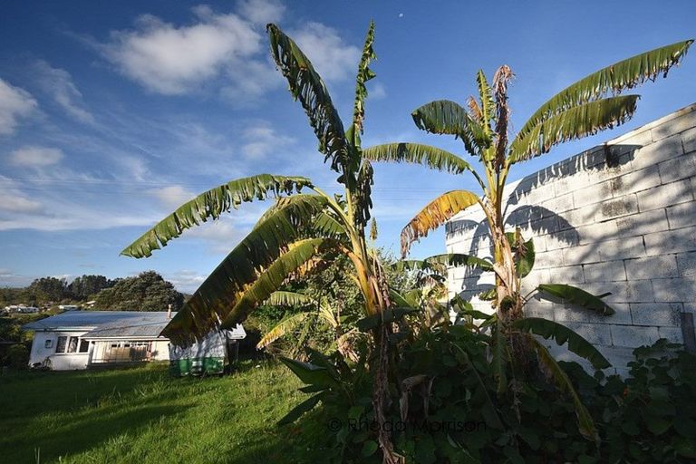 Photo of property in 14 Komiti Road, Tinopai, Matakohe, 0593