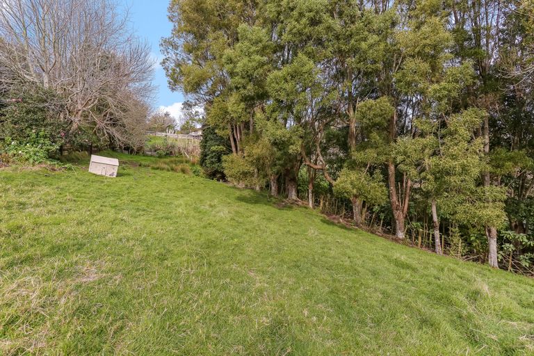 Photo of property in 55 Ohiwa Road, Papakura, 2582