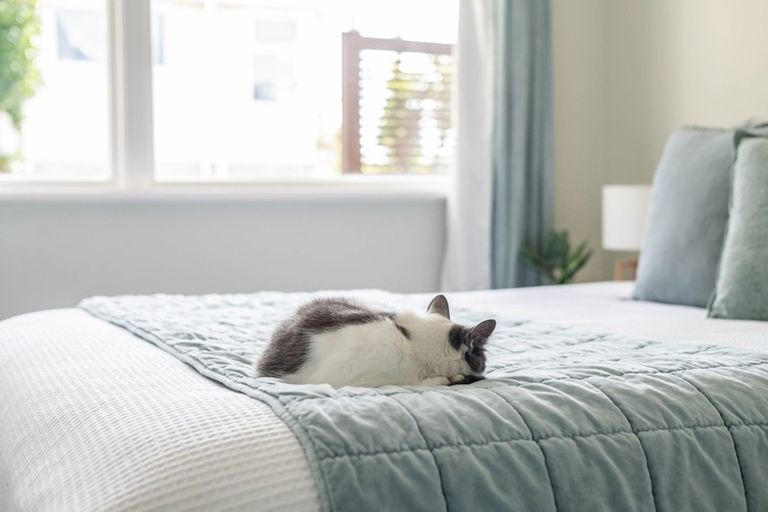 Photo of property in 58 Catherine Crescent, Paparangi, Wellington, 6037