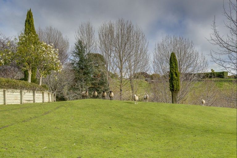 Photo of property in 125 Margaret Avenue, Havelock North, 4130