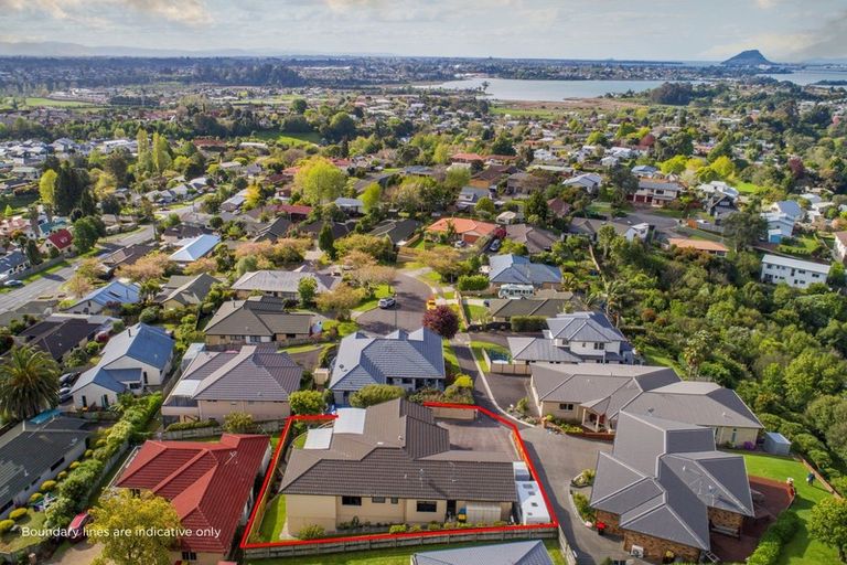 Photo of property in 20 Kaimai View Drive, Ohauiti, Tauranga, 3112