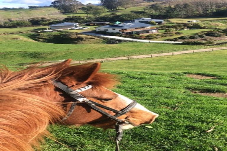 Photo of property in 153 Marotiri Road, Marotiri, Mangakino, 3492