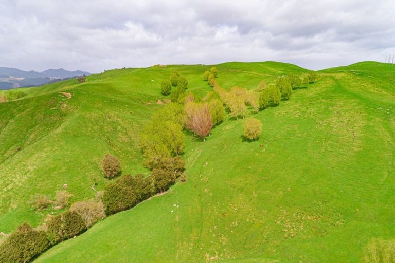 Photo of property in Castlepoint Road, Mangapakeha, Masterton, 5889