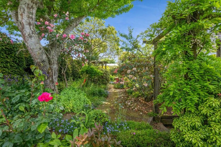 Photo of property in 37 Cassandra Street, Stratford, 4332