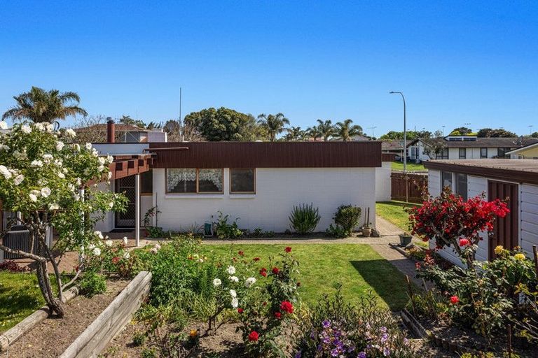 Photo of property in 15 Hikurangi Street, Whakatane, 3120