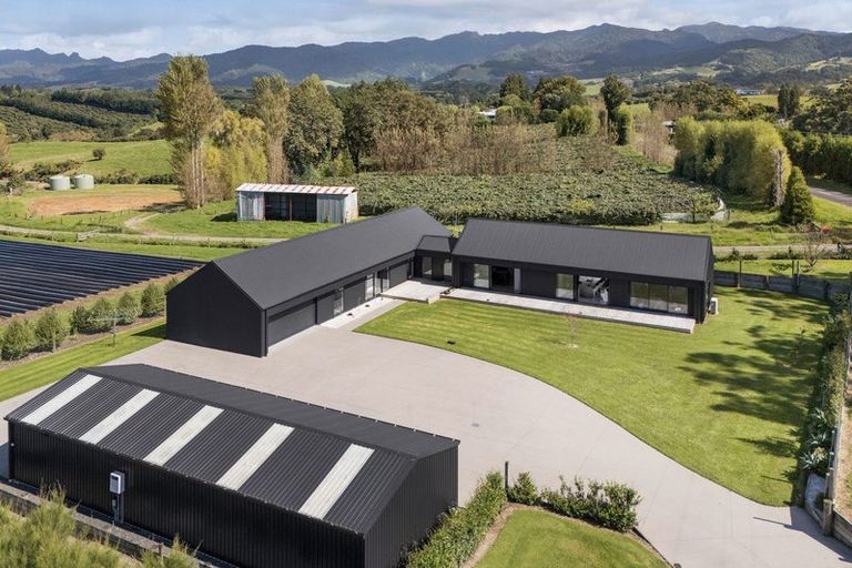 Photo of property in 169 Busby Road, Tahawai, Katikati, 3170