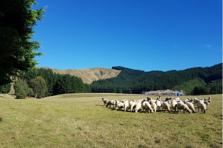 Photo of property in 210 Potts Road, Koputaroa, Levin, 5571