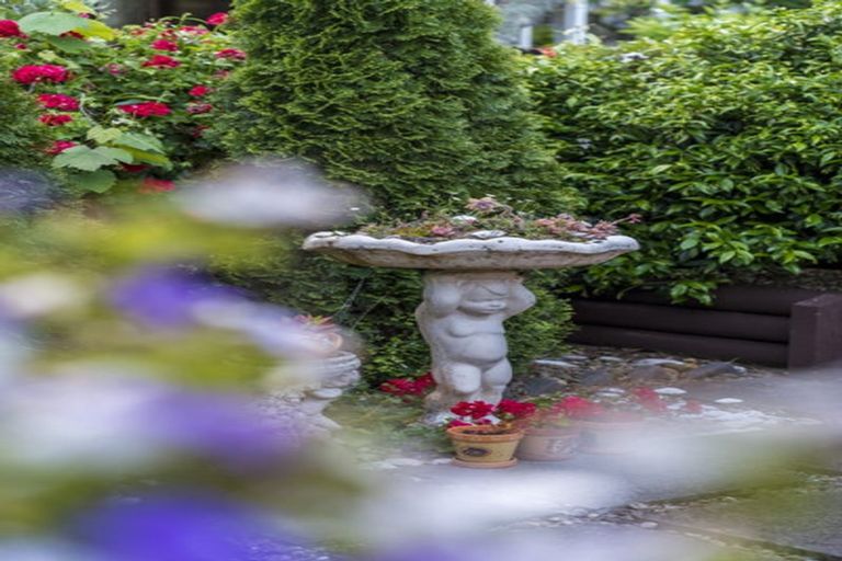 Photo of property in 20 Muscat Place, Henderson, Auckland, 0612