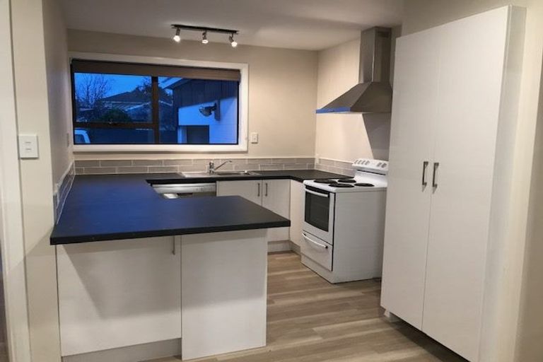 Photo of property in 45 Deepdale Street, Burnside, Christchurch, 8053