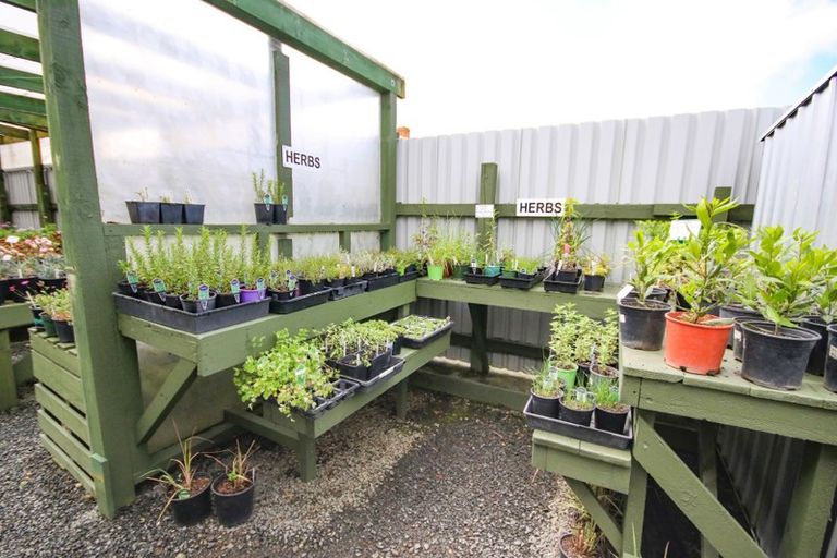 Photo of property in 13 Jellicoe Road, Ruawai, 0530