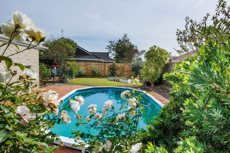 Photo of property in 155 Milson Line, Milson, Palmerston North, 4414
