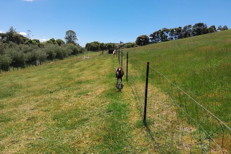 Photo of property in 18 Kawhina Lane, Kuaotunu, Whitianga, 3592