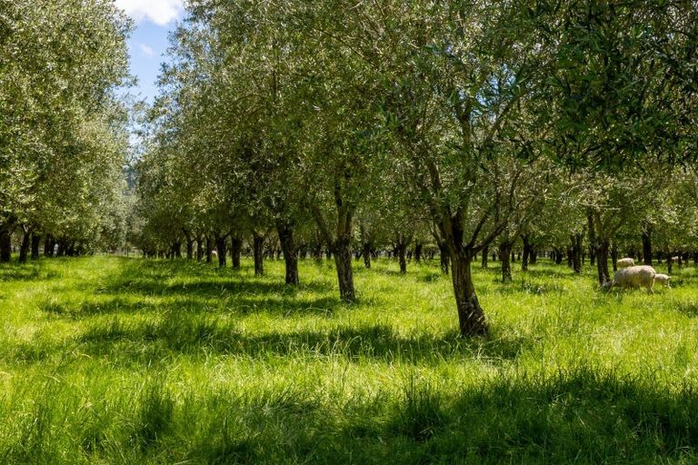 Photo of property in 278 Higgins Road, Wakefield, 7095