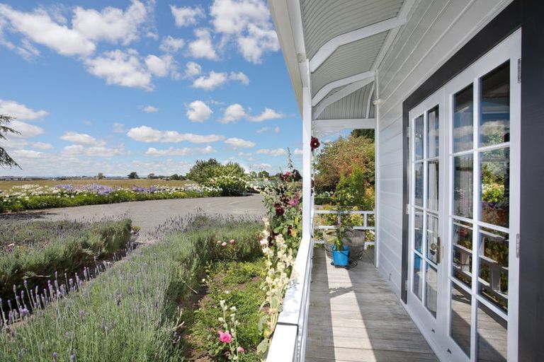 Photo of property in 84 Johnson Street, Bulls, 4818