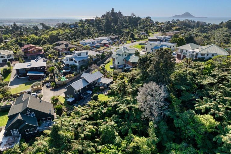 Photo of property in 106 Waiewe Street, Whakatane, 3120