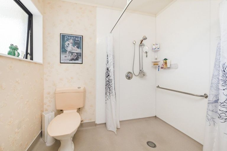 Photo of property in 103 Salisbury Street, Ashhurst, 4810