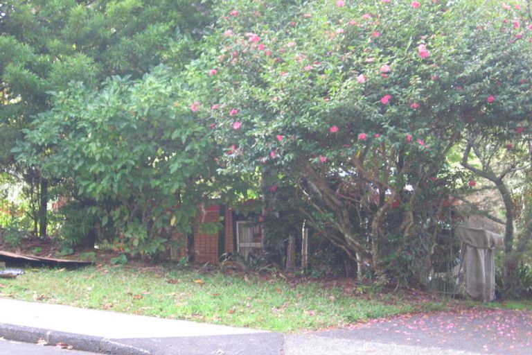 Photo of property in 43 Daffodil Street, Titirangi, Auckland, 0604