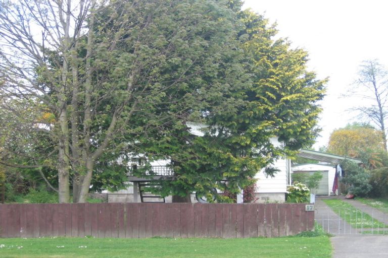 Photo of property in 17 Reeve Road, Owhata, Rotorua, 3010