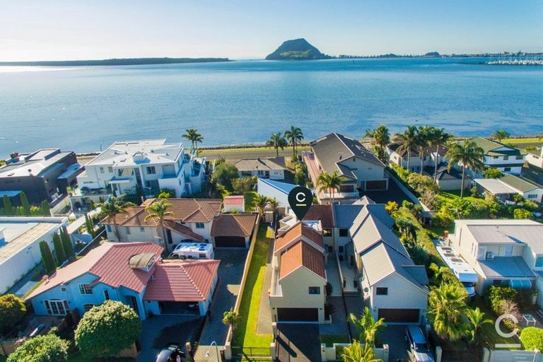 Photo of property in 53 Kulim Avenue, Otumoetai, Tauranga, 3110