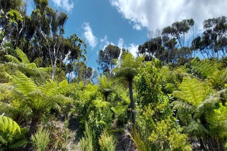 Photo of property in 525a Tuateawa Road, Tuateawa, Coromandel, 3583