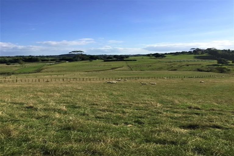 Photo of property in 59 Wilks Road West, Dairy Flat, Albany, 0794