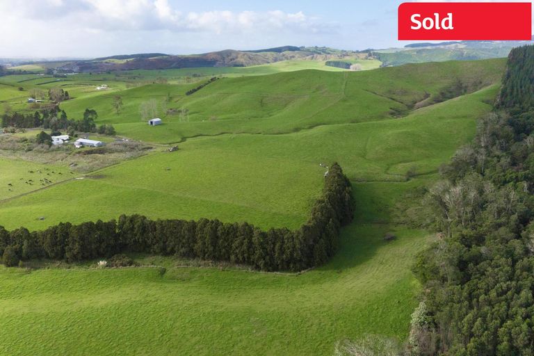 Photo of property in 160 Mcwatt Road, Waitakaruru, Ngatea, 2471
