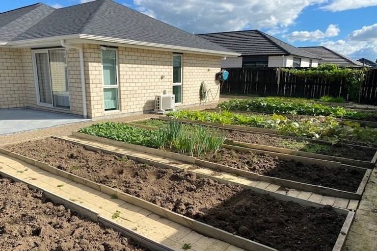 Photo of property in 27 Ruru Street, Cambridge, 3434